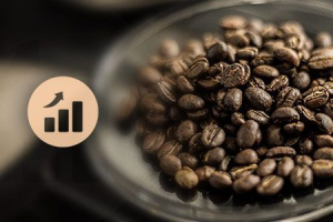 Июльское падение цен на кофе на мировом рынке