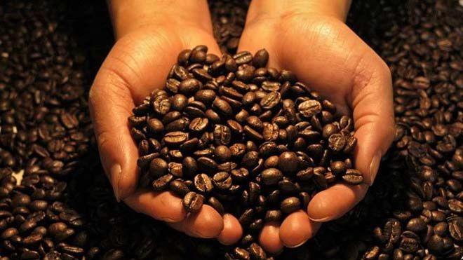 Зернова кава