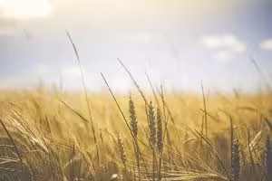 График работы на День Независимости Украины