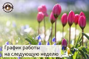 График работы компании на Троицу-2018