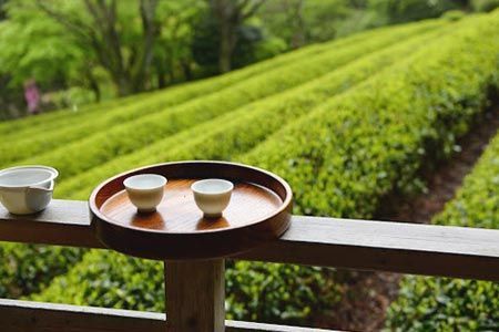 Где рождается вкус: кто настоящий производитель чая