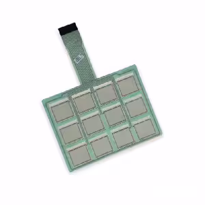 Мембранна клавіатура для La Rhea EC V+