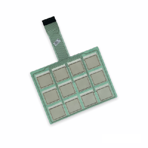 Мембранная клавиатура для La Rhea EC V+