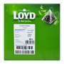 Чай в пакетиках пирамидках Loyd Green Tea, лимон&лимонник, 1,5 г*20 шт, 20 уп.