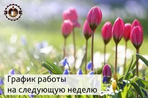 График работы на следующую неделю