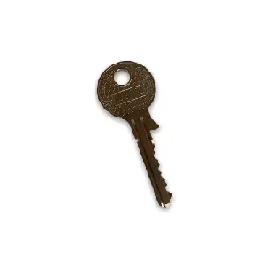 Ключ плоский серия AJ200L Rielda